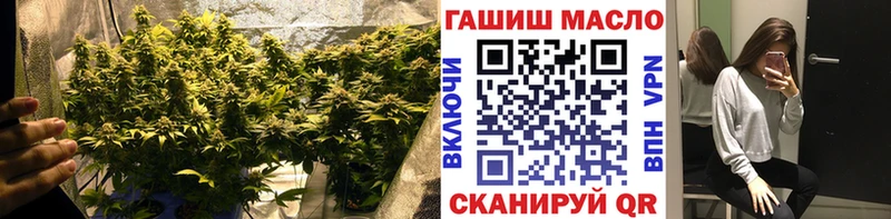 ТГК гашишное масло  магазин продажи   Валдай 