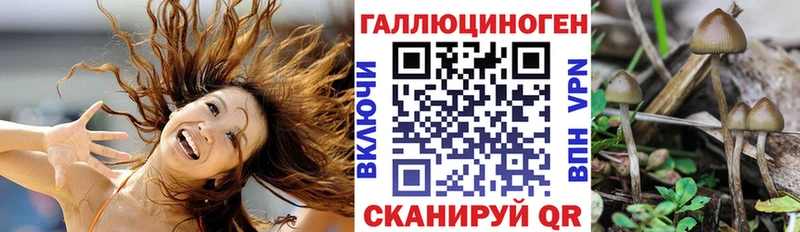купить наркотики цена  blacksprut онион  Псилоцибиновые грибы MAGIC MUSHROOMS  Валдай 